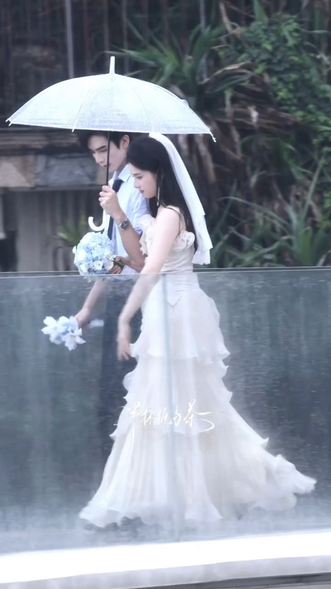 宋威龙张婧怡野狗骨头结婚路透啊啊啊太般配了吧我被净化了