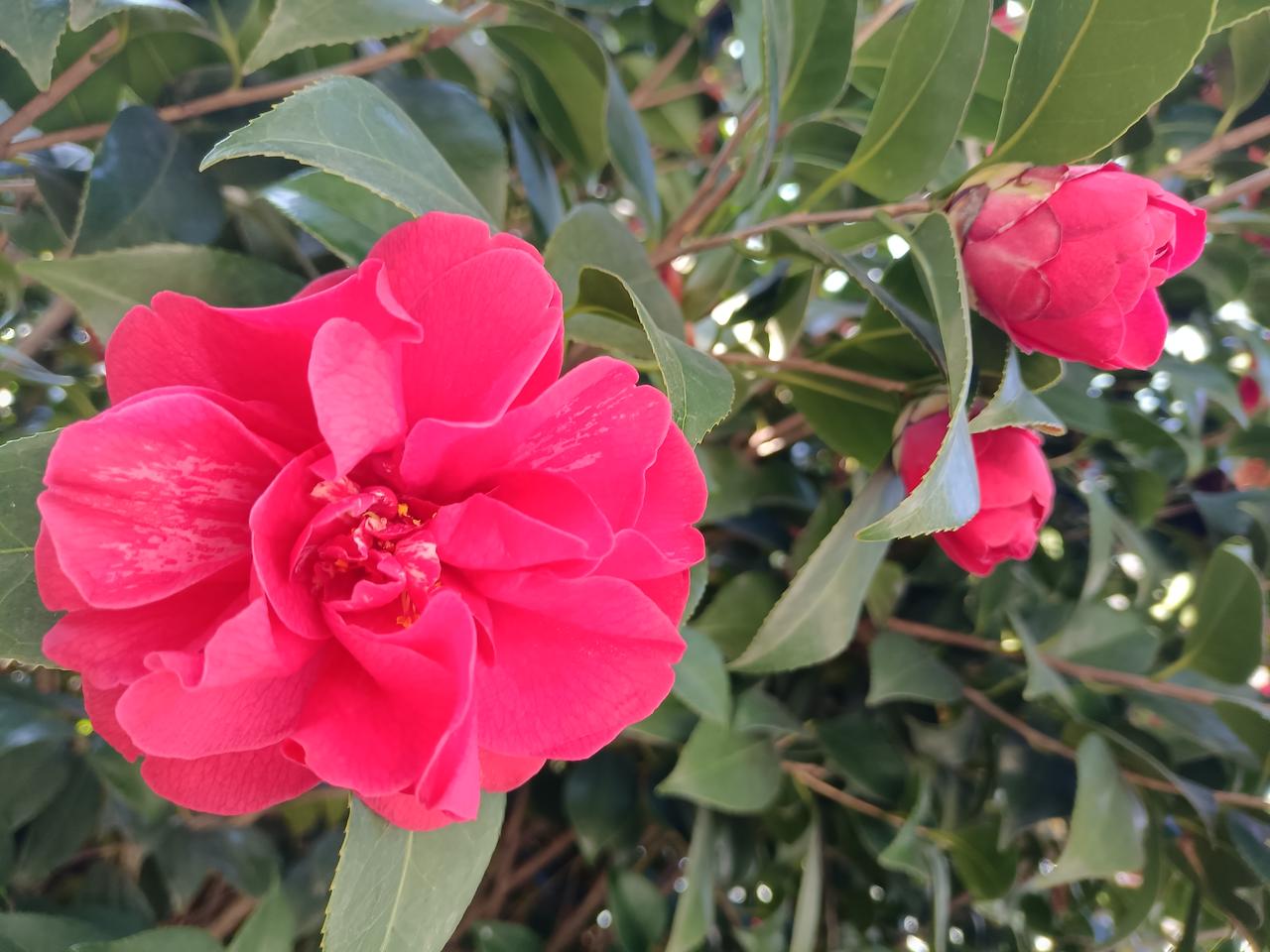 横店正经历从“横”到“竖”的转型