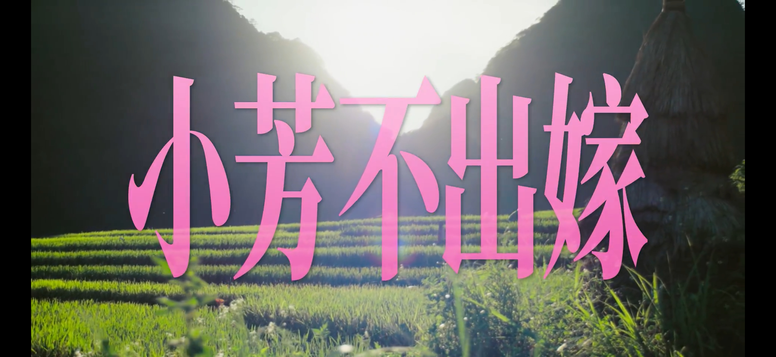 爽呀 