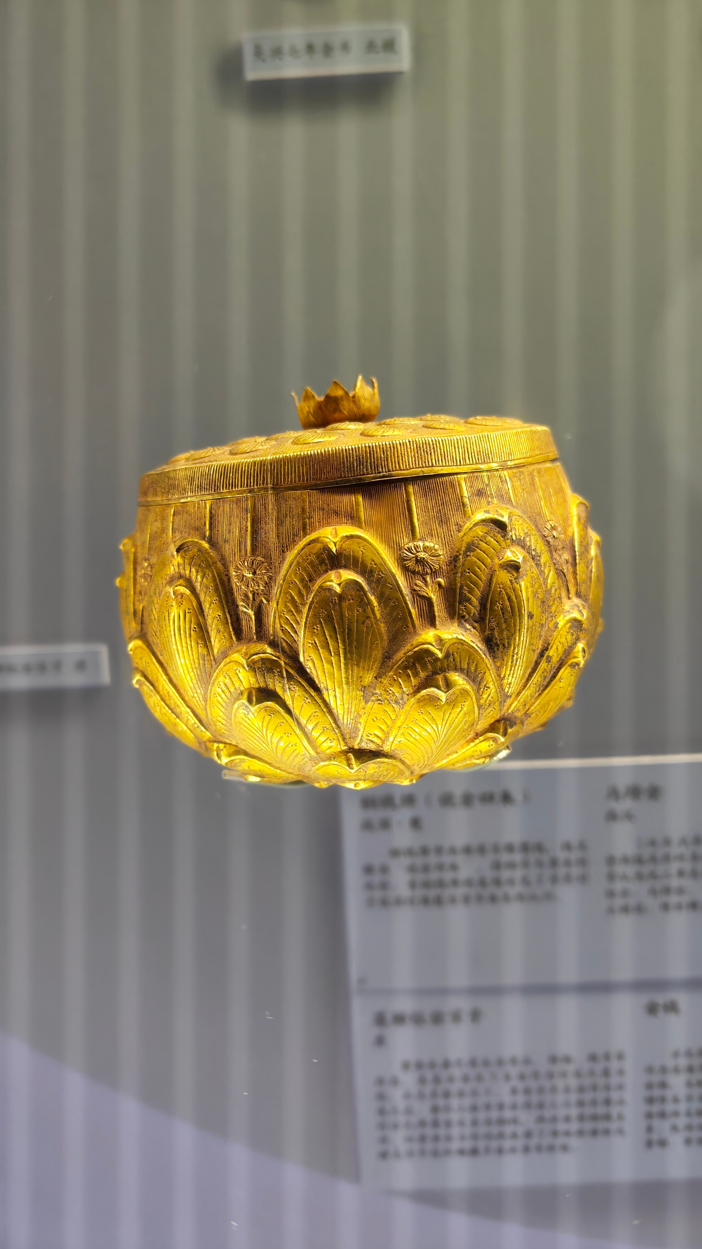 获得了很多很好的体验，相信不用很久又会再碰面啦 