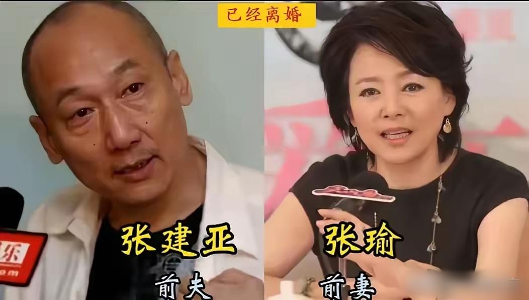 盘点8对分道扬镳的明星伴侣，初见深情无比、模样登对，却败给岁月烟火，有人重遇良缘