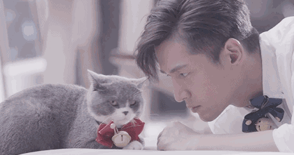 猫猫：就算是胡歌也不能空着手来啊 