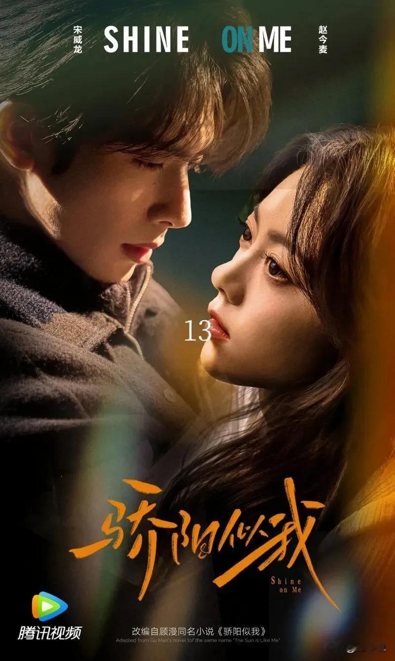 聂曦光刚被奶奶催着“挑男人要擦亮眼”，转头回公司就撞上林屿森。雪天铲光伏板她拼命