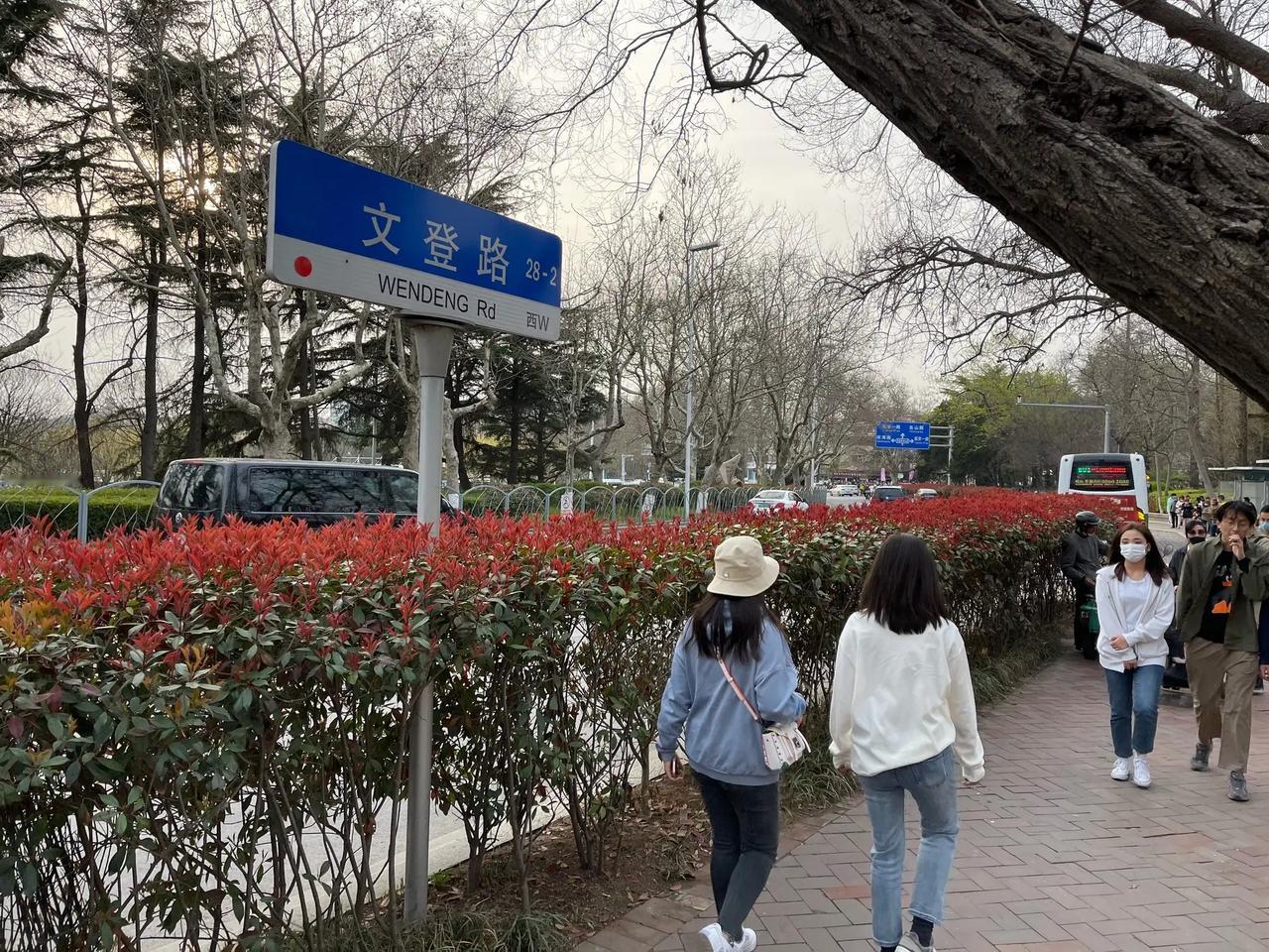 于海青：为何说去青岛中山公园赏樱花很赞？ 那一年，不知不觉又走到了中山公园，恰恰