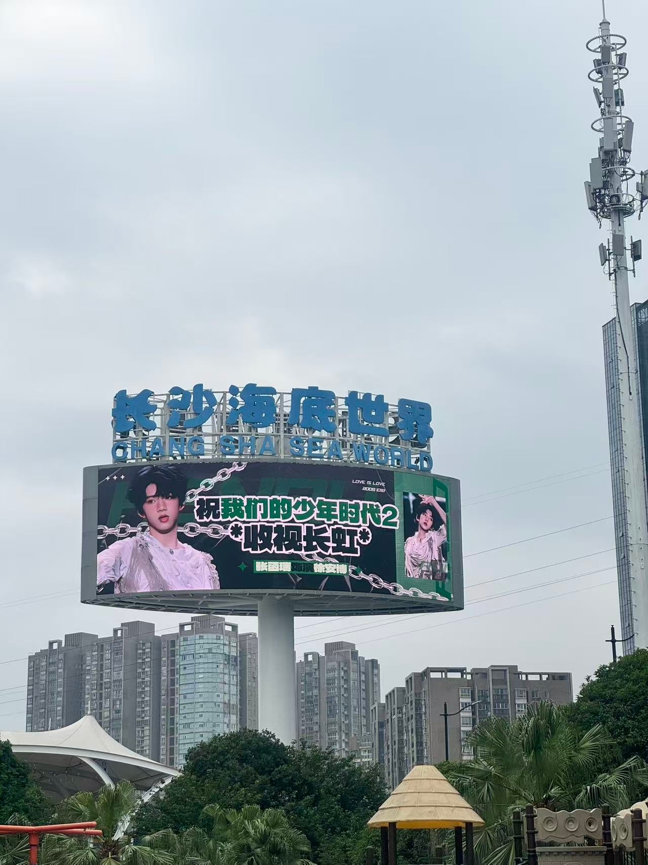 tg张函瑞家应援返图💚 