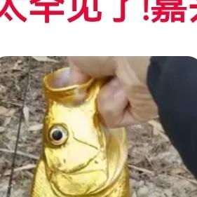 太罕见了！浙江嘉兴，有一男子在野外河里，钓到条金灿灿的翘嘴鱼。
 
本是寻常一次
