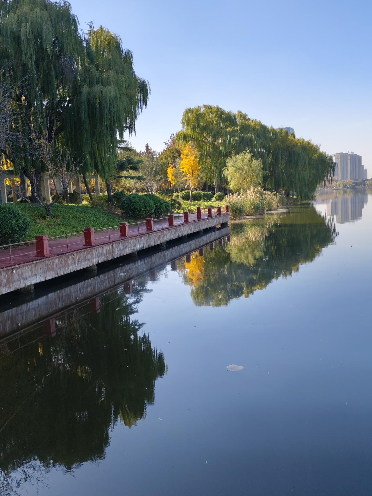 秋末青云湖畔。