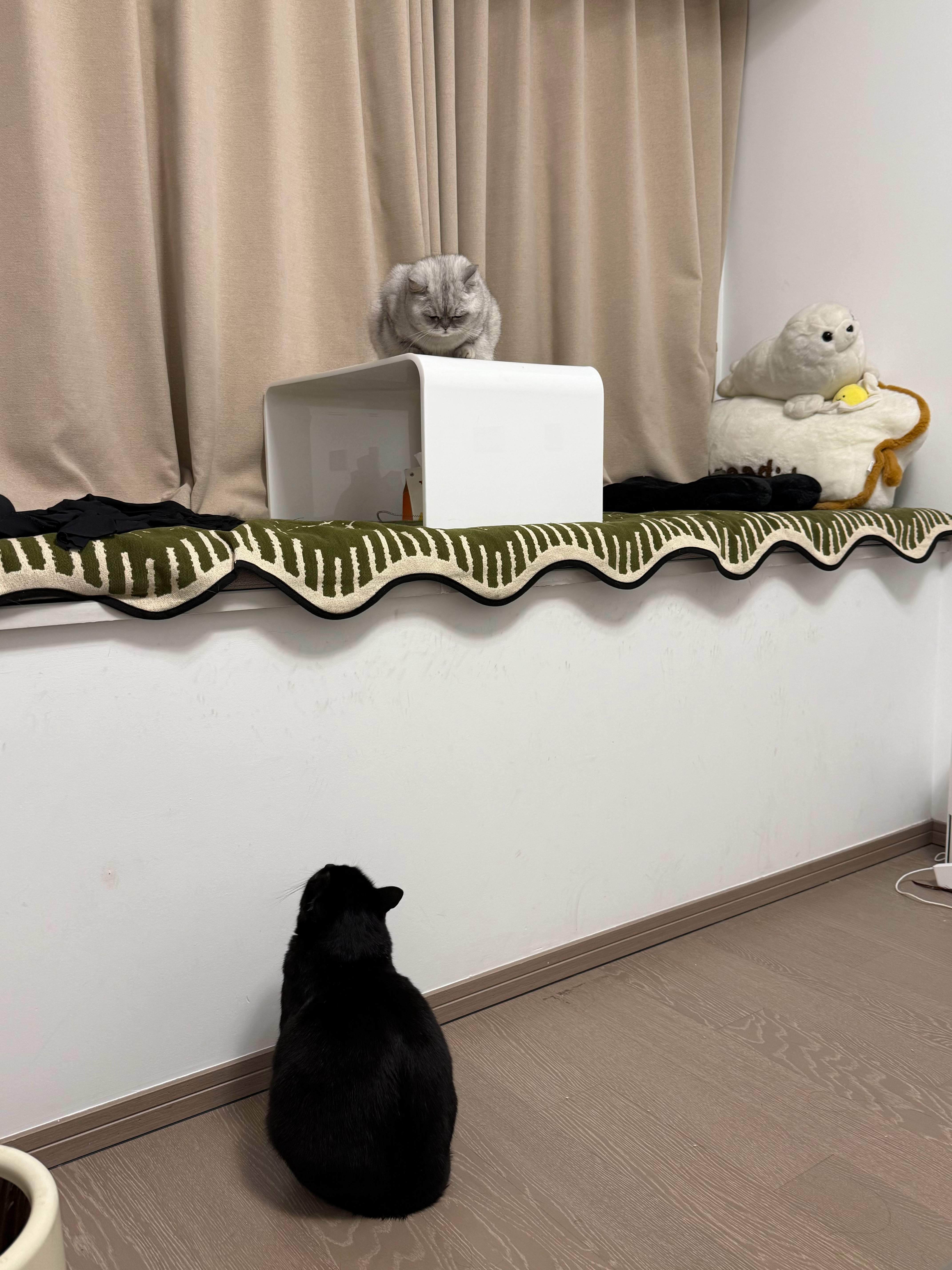 面面相觑中 