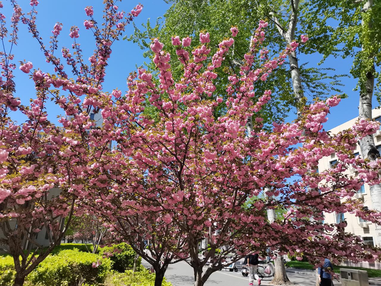 职业辅导里，别用面试话术糊弄自己
 
做职业辅导多年，我对学员离职原因的表述，渐