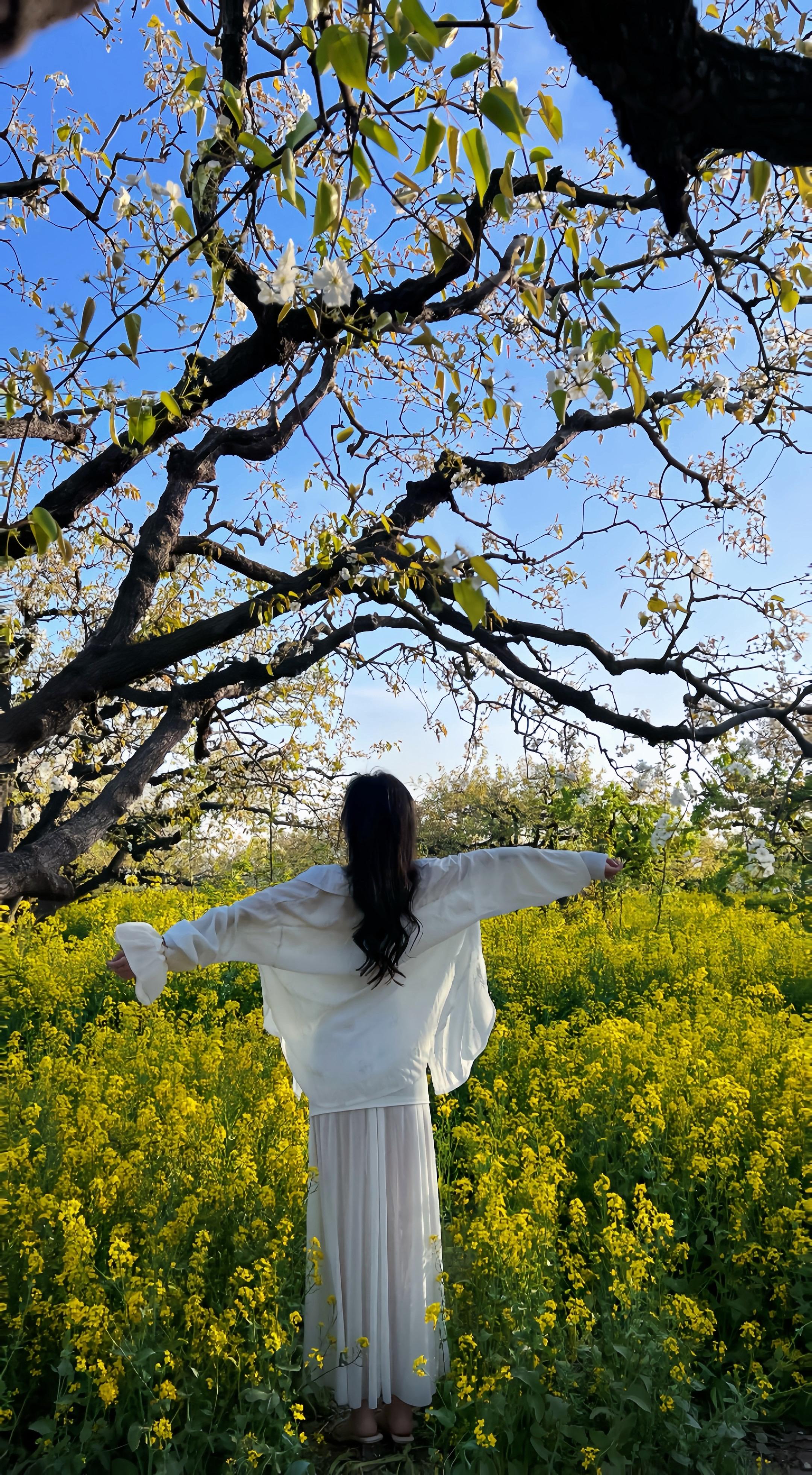 🌼🌼加载 金灿灿的碎片  💌