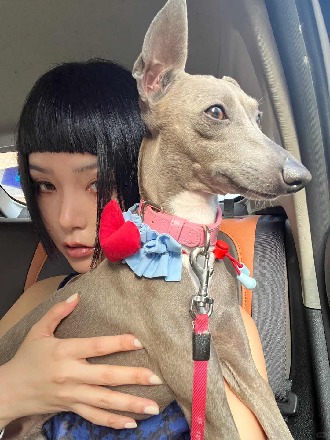 适合带狗狗来这儿荒废周末！