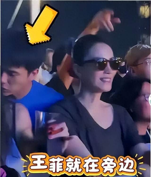 不演了，王菲和男闺蜜关系引争议，谢霆锋摘下情侣手镯 爱的太卑微