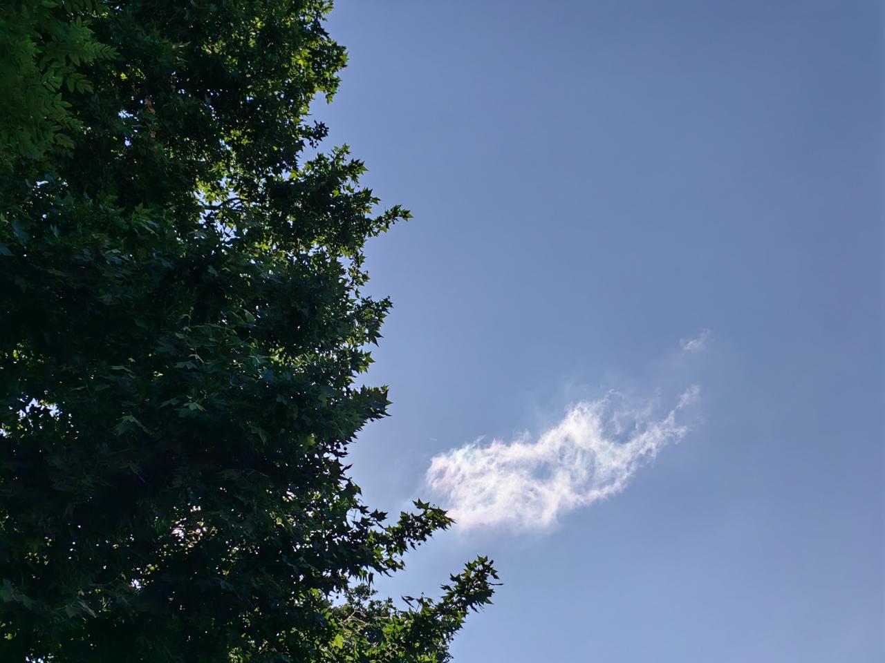 一退休干部讲经验：经常被调动的干部“后劲”足。绝对真经！
他说，当干部不能怕动，