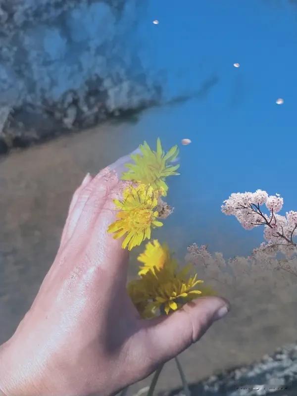 我觉得“人善被人欺”有一定道理。善良本是美德，可现实中，善良常被一些没道德底线的