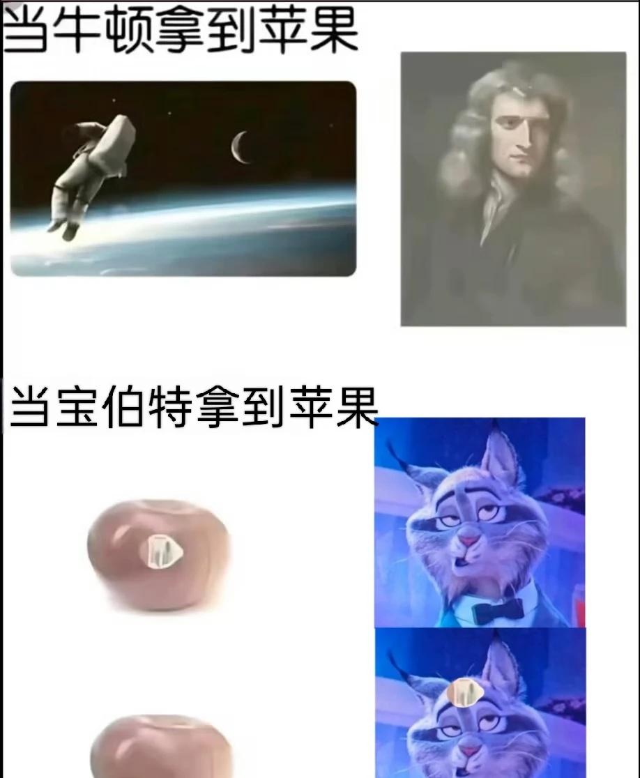 当宝伯特拿到苹果
以及猫全食
p了两张梗图（）以及之后估计不会像之前那样每天都发