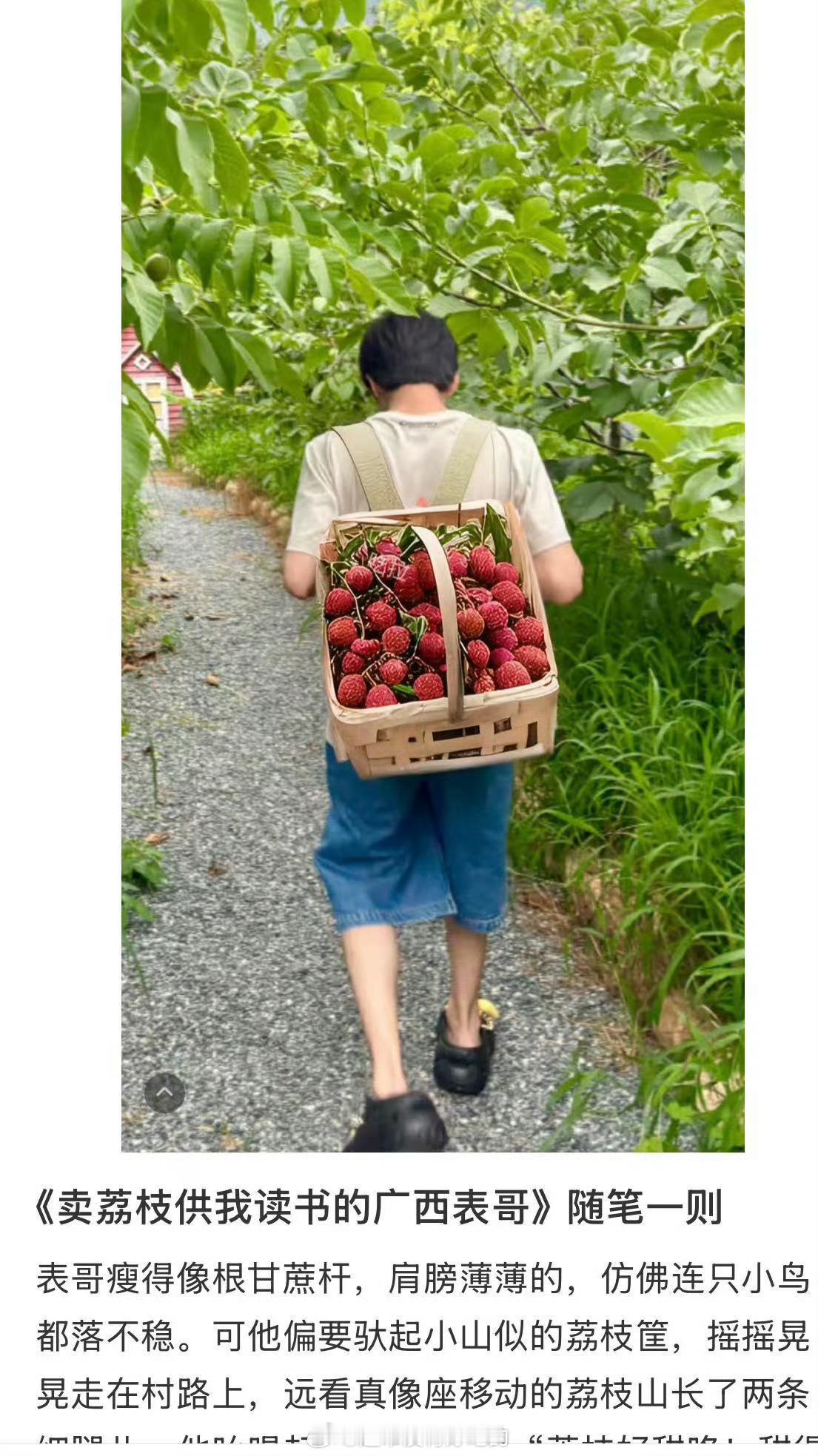 《卖荔枝供我读书的广西表哥》哈哈哈哈哈 ​​​