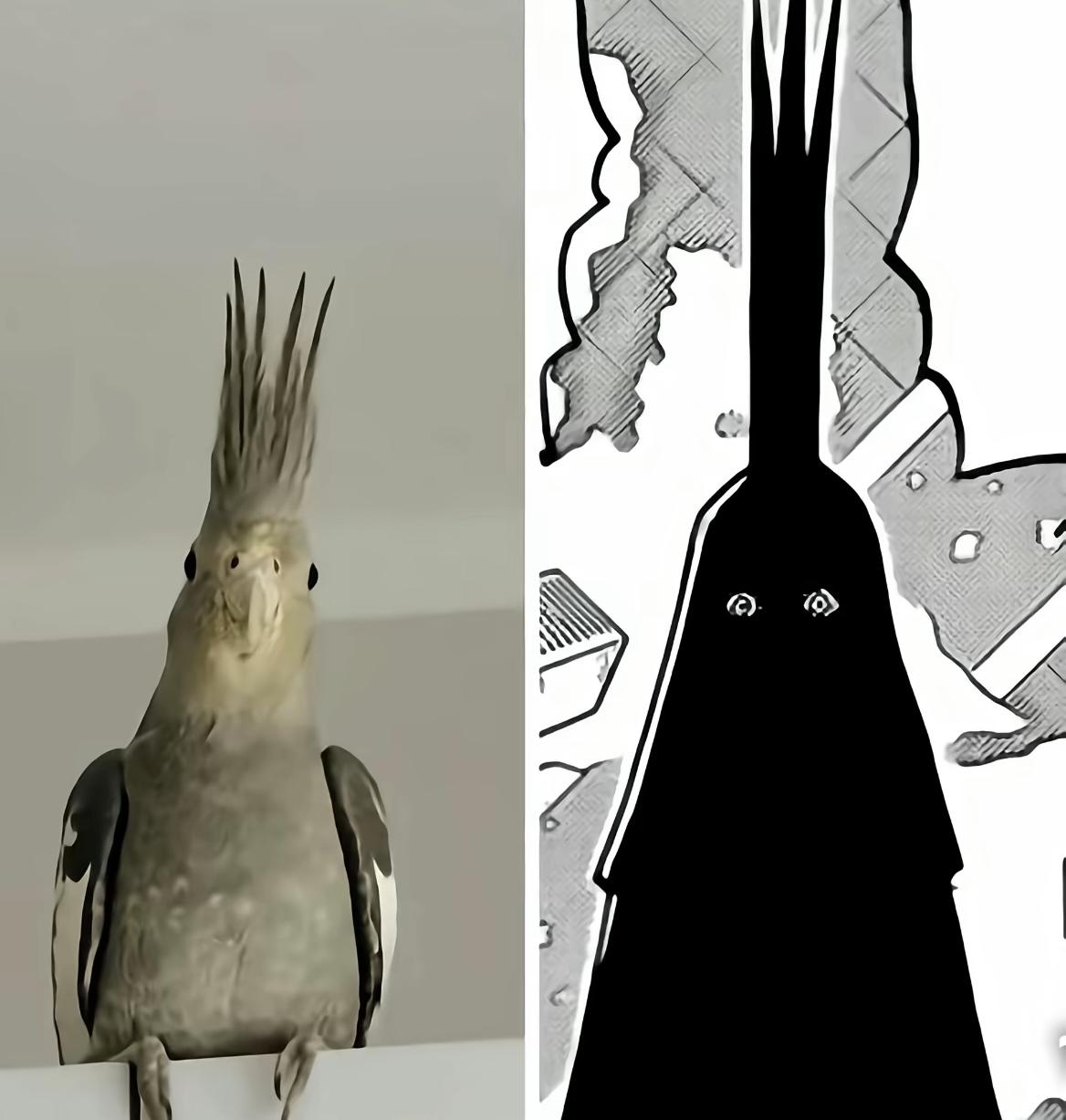 完了😩我也有点绷不住了，居然网传说伊姆的真身其实是一只鹦鹉🦜，而且当年他和乔