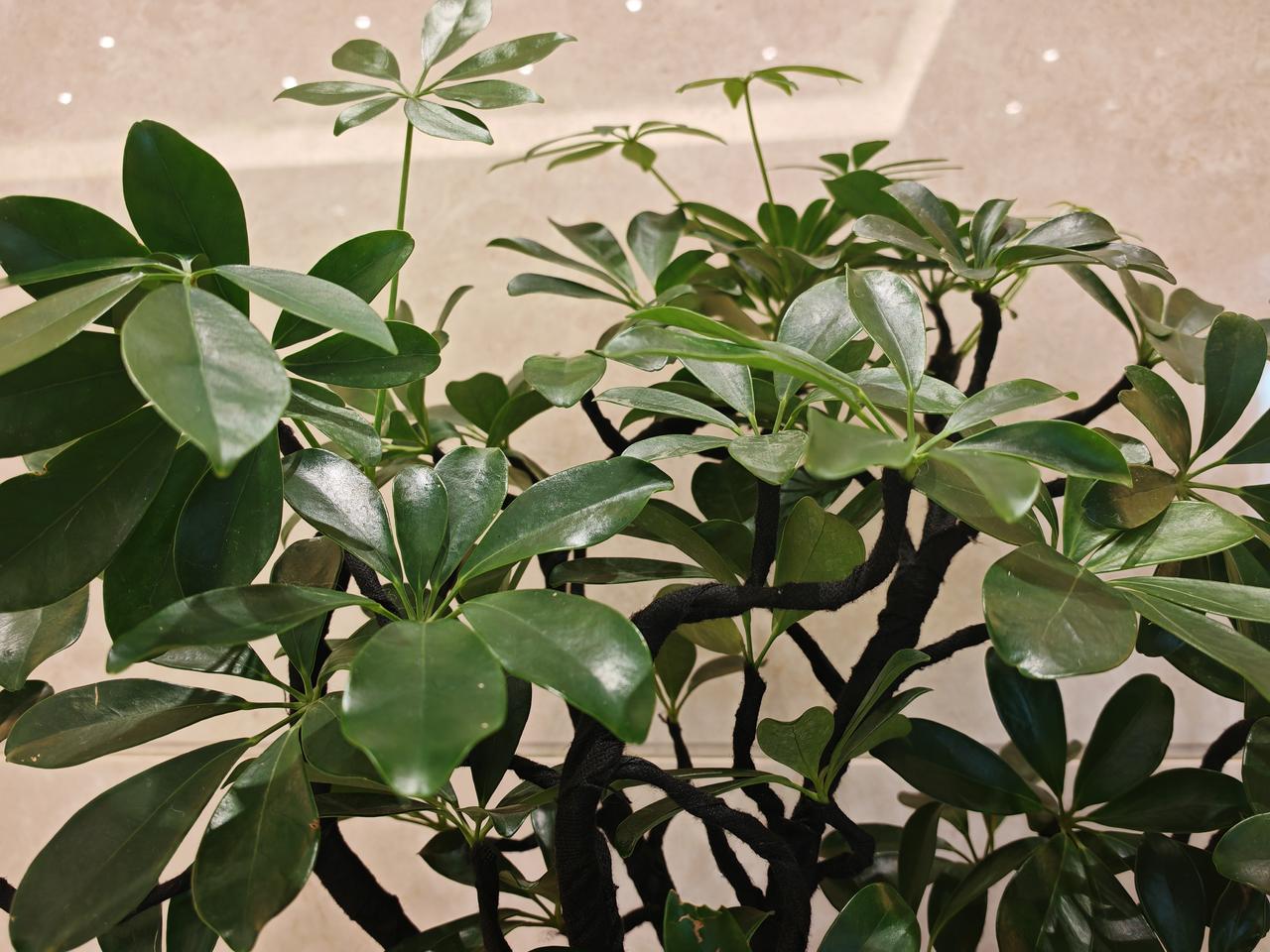 家人们谁懂啊！从早到晚连轴转，看热点看的眼发花，写文案写到头挠秃，就盼着数据能好