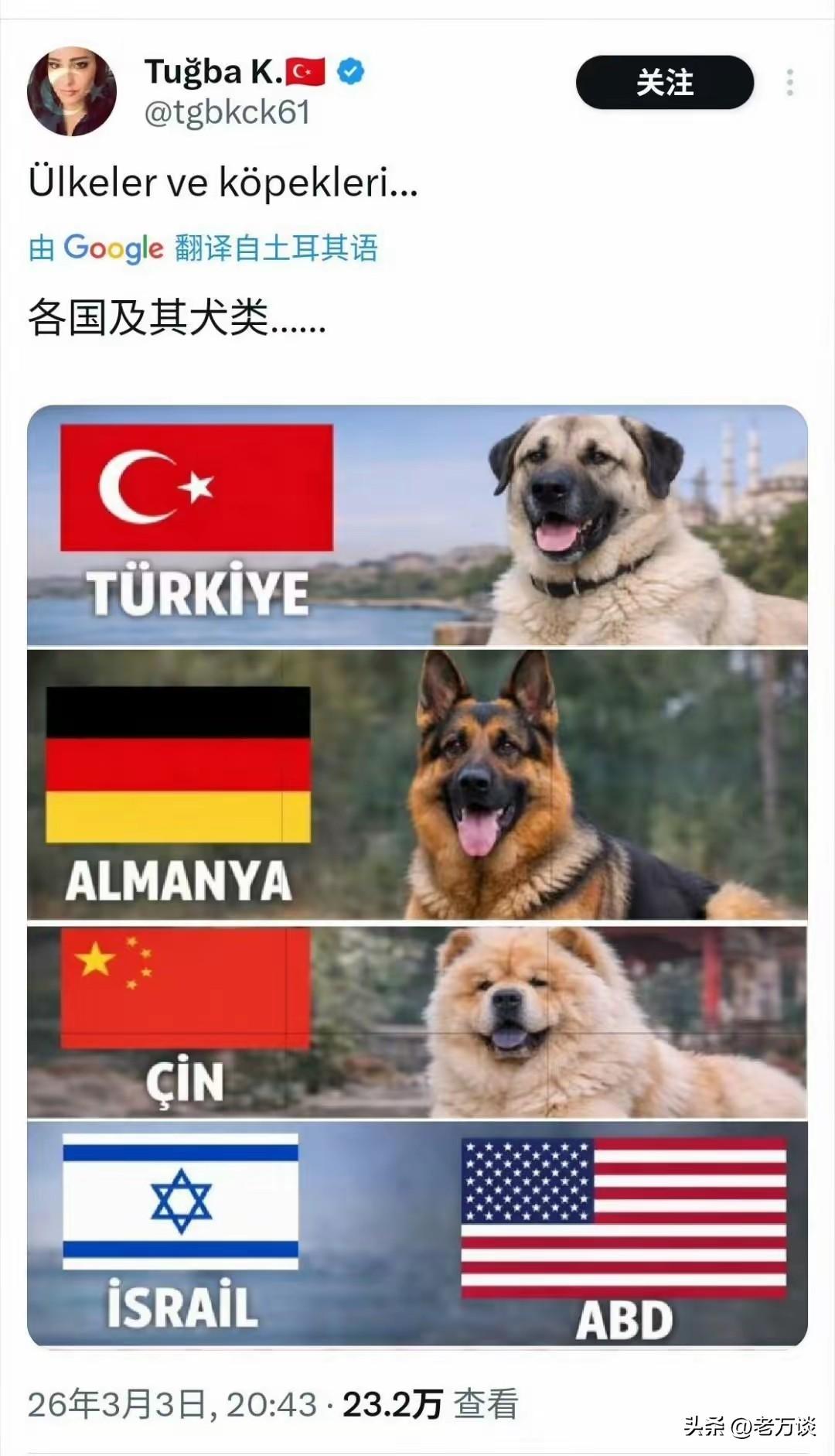 土耳其网友嘲讽美国人以色列的狗腿子
这位网友总结了各国的犬类，各国要么是憨厚老实