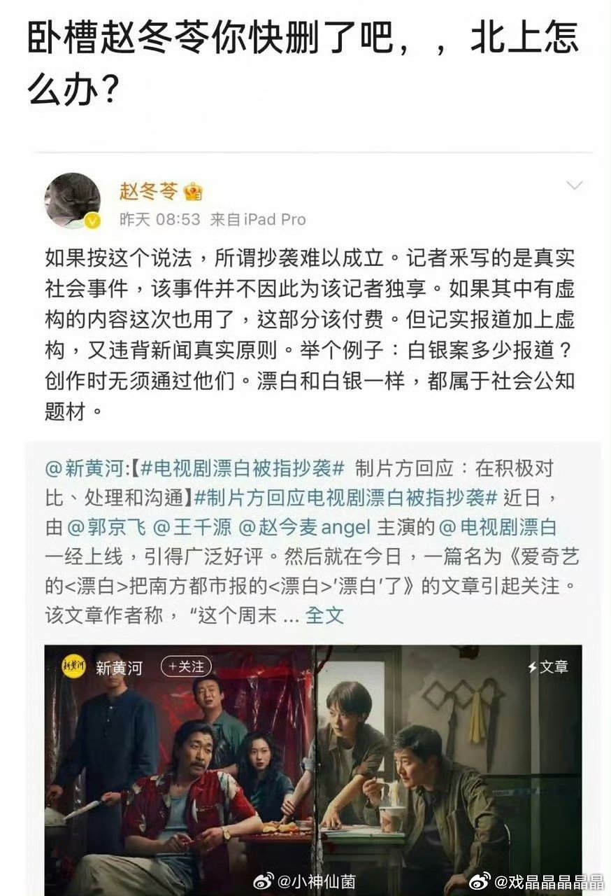 赵冬苓以前站漂白那个被控抄袭的编剧，还承认北上备案不是她写的，我以前说她一年不可