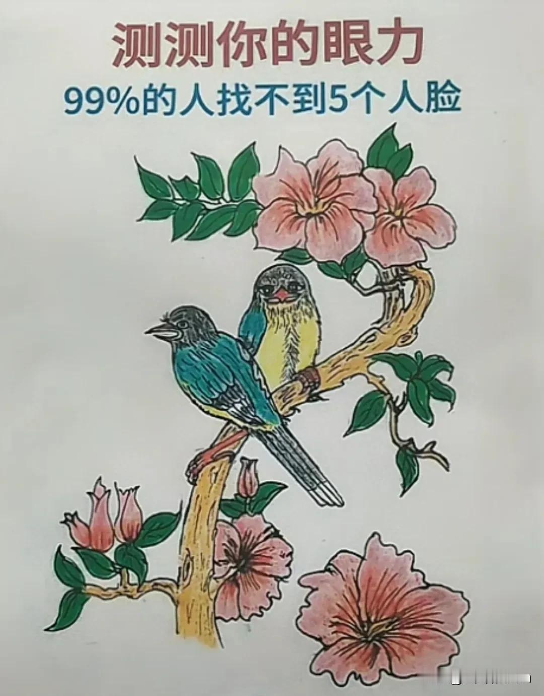 花鸟图中除了两只鸟还有五张人脸，只找到了四张人脸，最后一张属实难找，不知藏在哪里