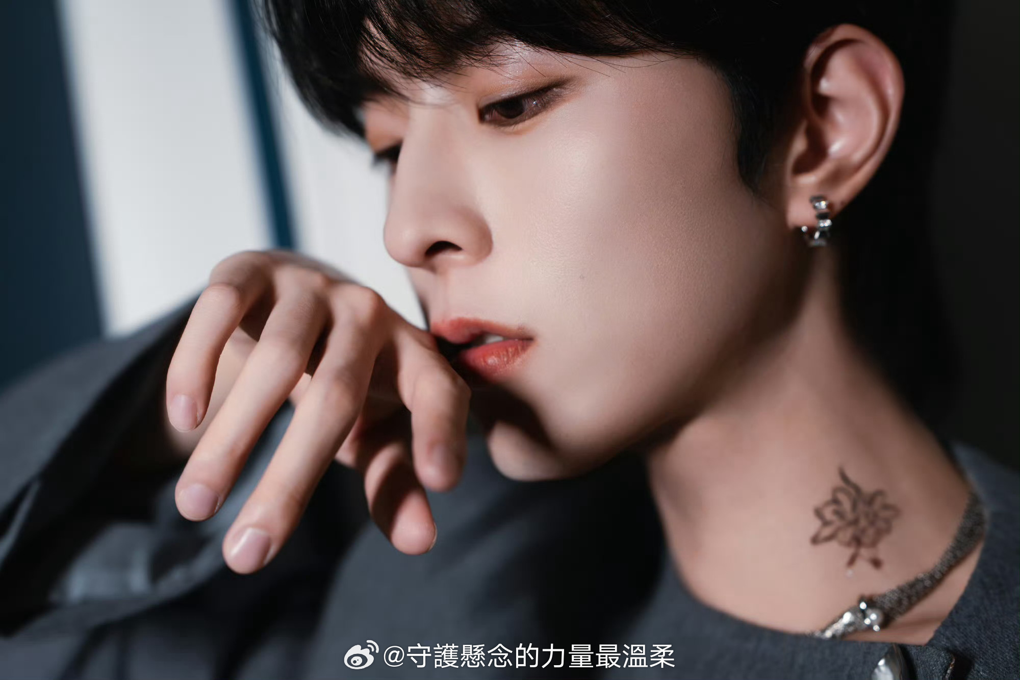 🐾个人博 想说什么就说什么·头像不代表属性·🈷️🈷️请sx！直观会被吞·所