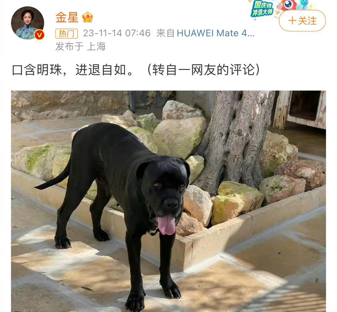 王自如可算再次惹到又一铁嘴，
金星赐福：口含明珠，进退自如。
不怪金姐嘴太毒，只