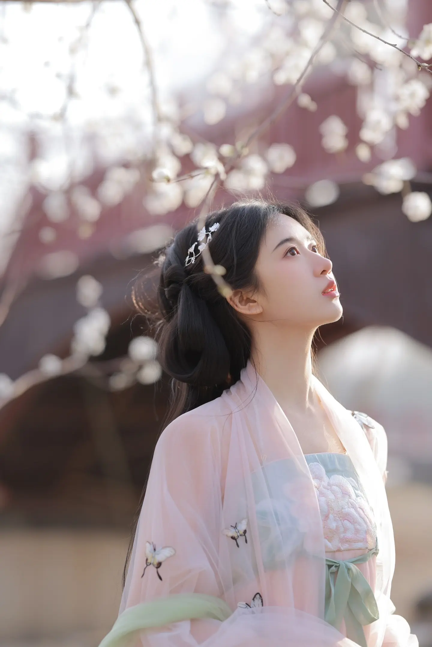 静待花开。山桃花就要开啦～
