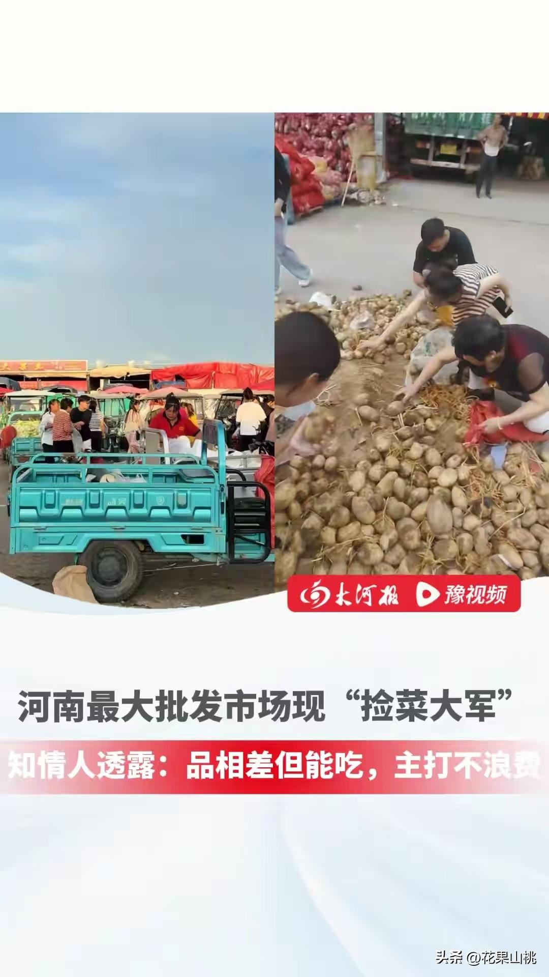 近日，河南出现了一批捡菜人，这些人大多在下午5时左右出现在果蔬批发市场，蹲在一堆