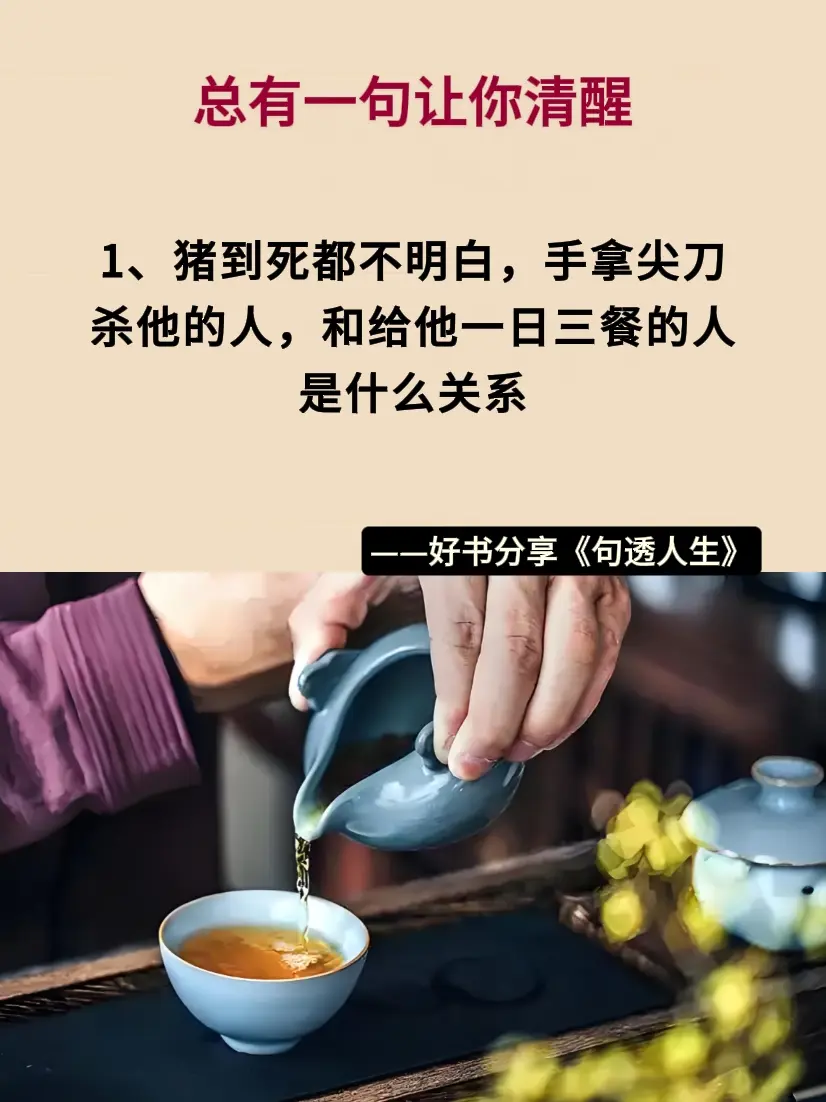句句大实话太现实了