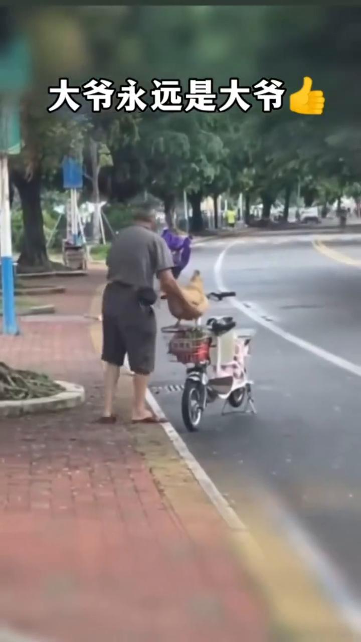 如果不是亲眼所见我是万万不敢相信的。如果不是亲眼所见我是万万不敢相信的。