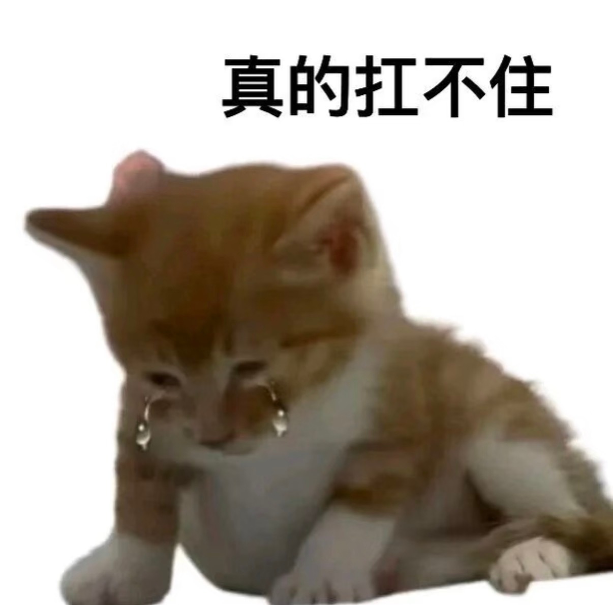 今晚发生的事会不会太多了 