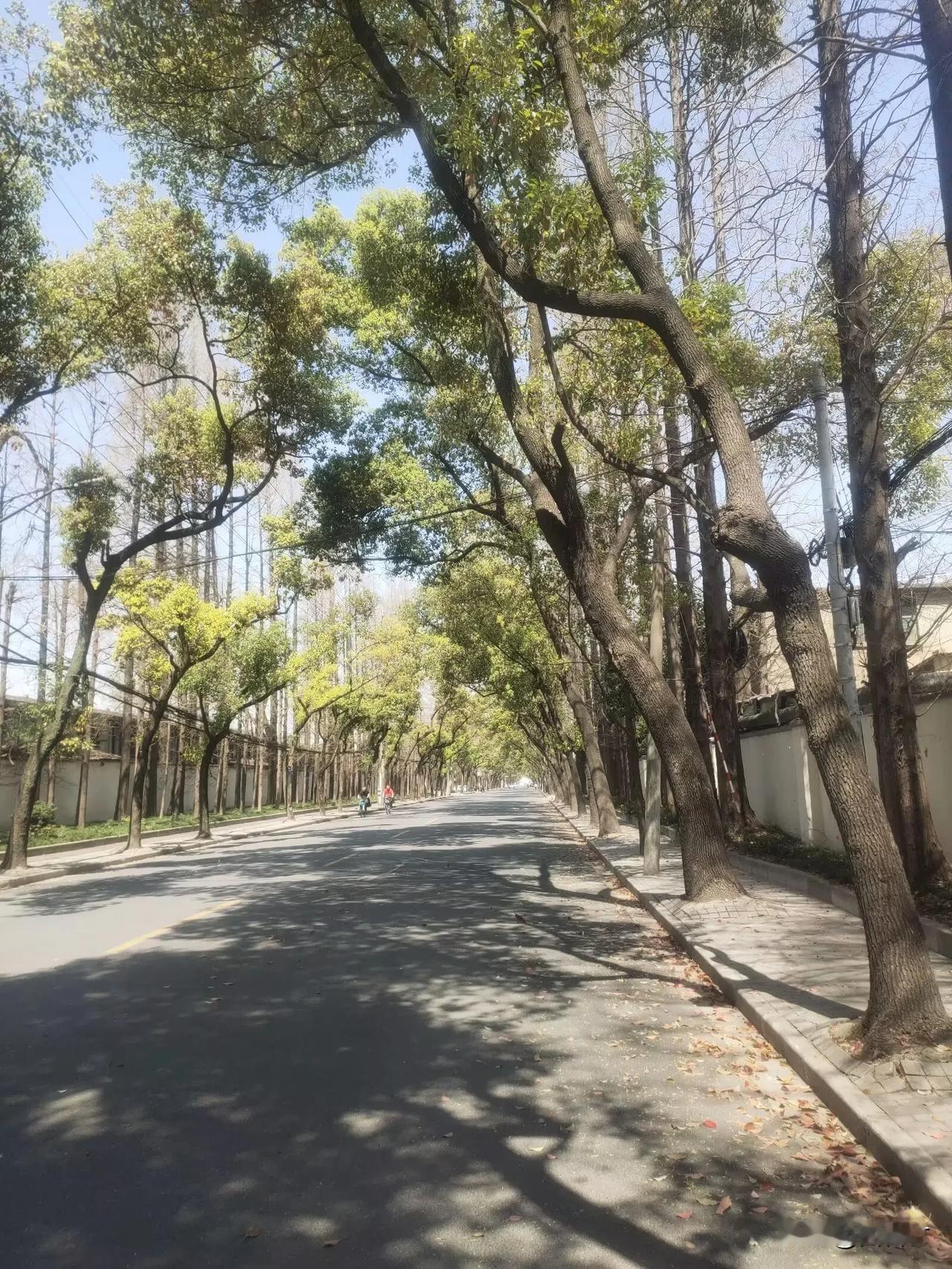 1949年5月25日，上海复兴岛上渔业管理处的护厂队通过政策宣传，争取了该处处长