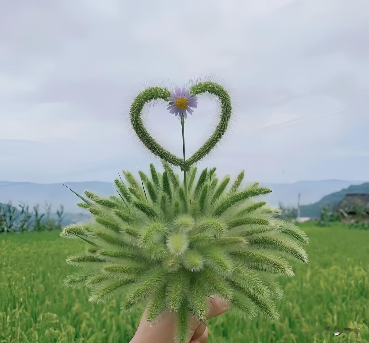 人这一辈子
慢慢的才发现，
人生最曼妙的风景，
竟是内心的淡定与从容。
我们曾如