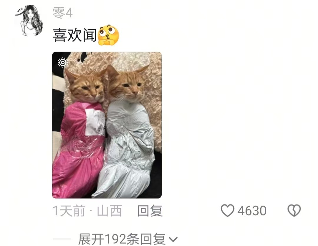 果然还得是魔法打败魔法啊！小猫：已老实哈哈哈哈哈哈哈 