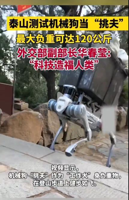 #从泰山“机器狗”看就业新方向#
传统力工是真的会被机器人代替的目前看来。
现在