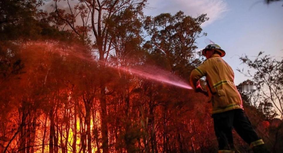 澳大利亚新南威尔士州周六发生丛林大火，吞噬了数千英亩的灌木丛，促使当局敦促疏散，