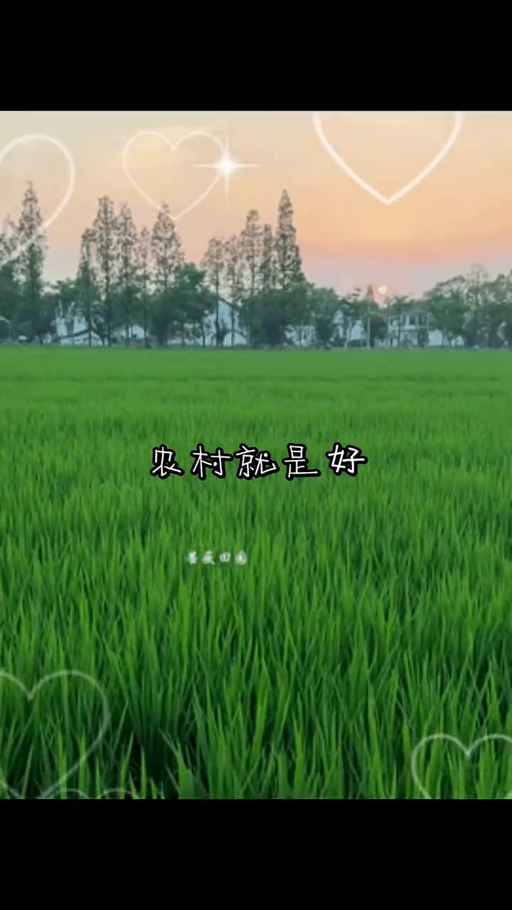 农村就是好。