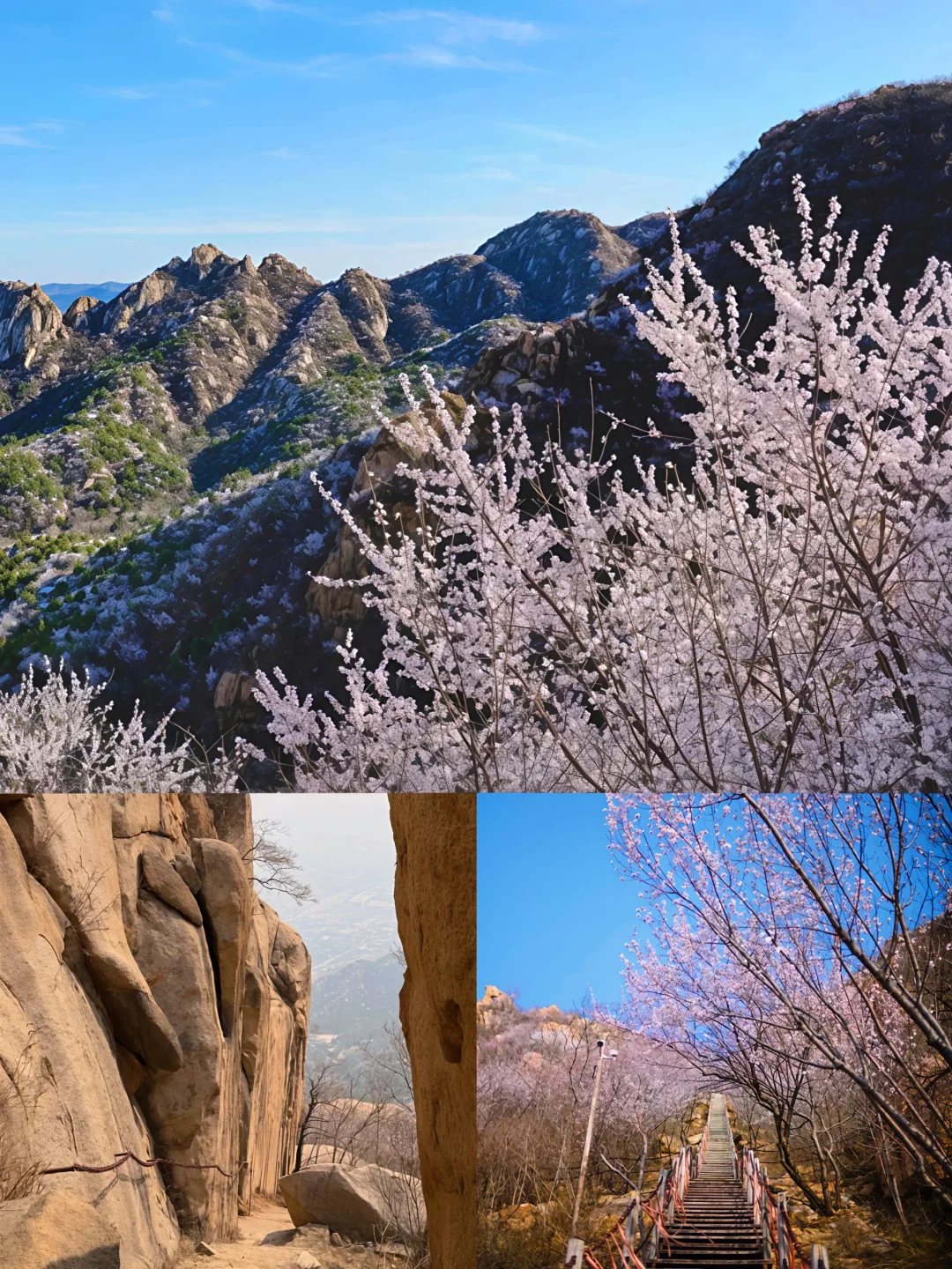 🌸京郊双岭赏花徒步攻略