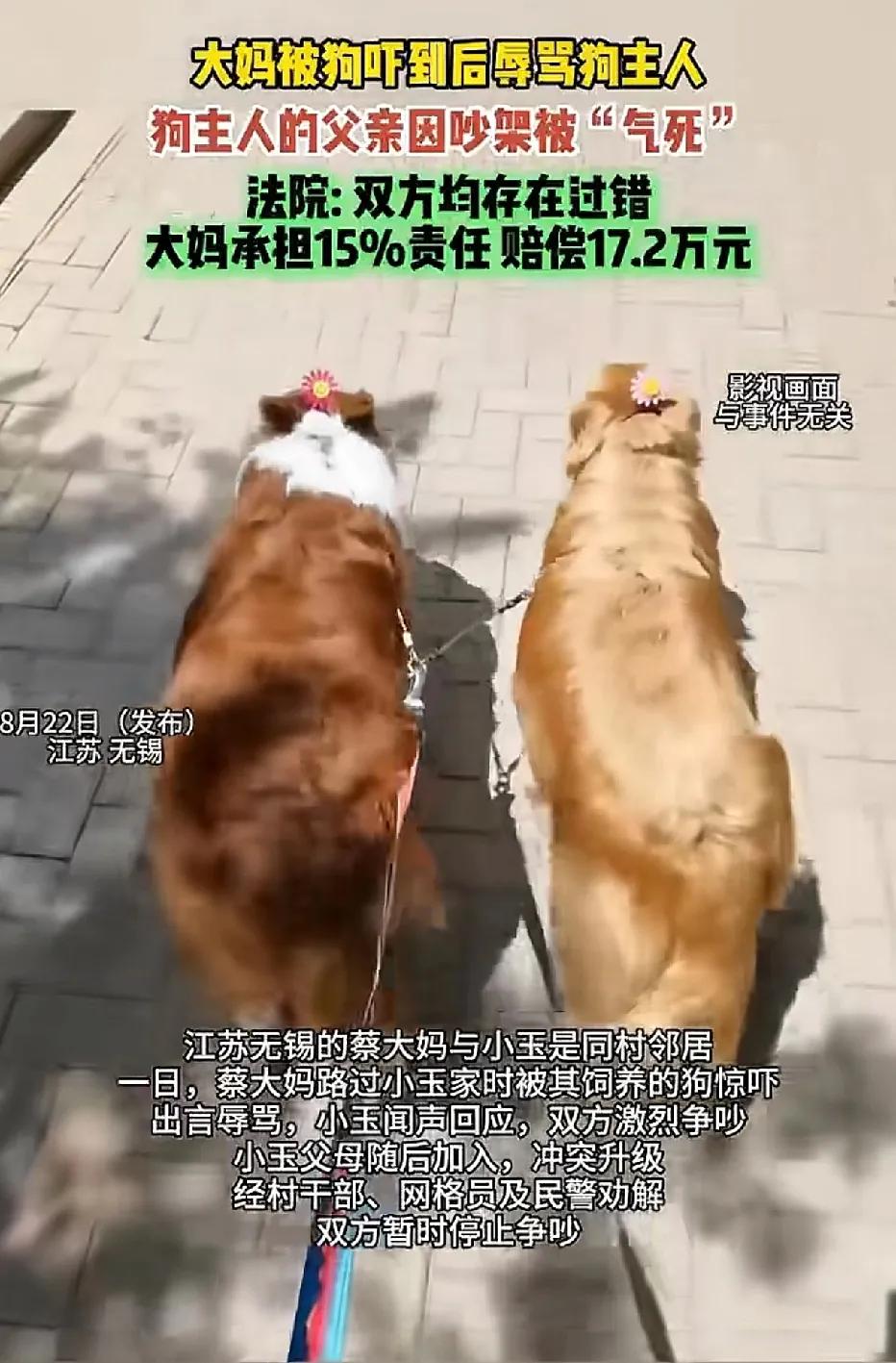 江苏无锡，一位大妈路过邻居家门口时，被狗叫声惊到，随后便破口大骂。邻居的女儿听到