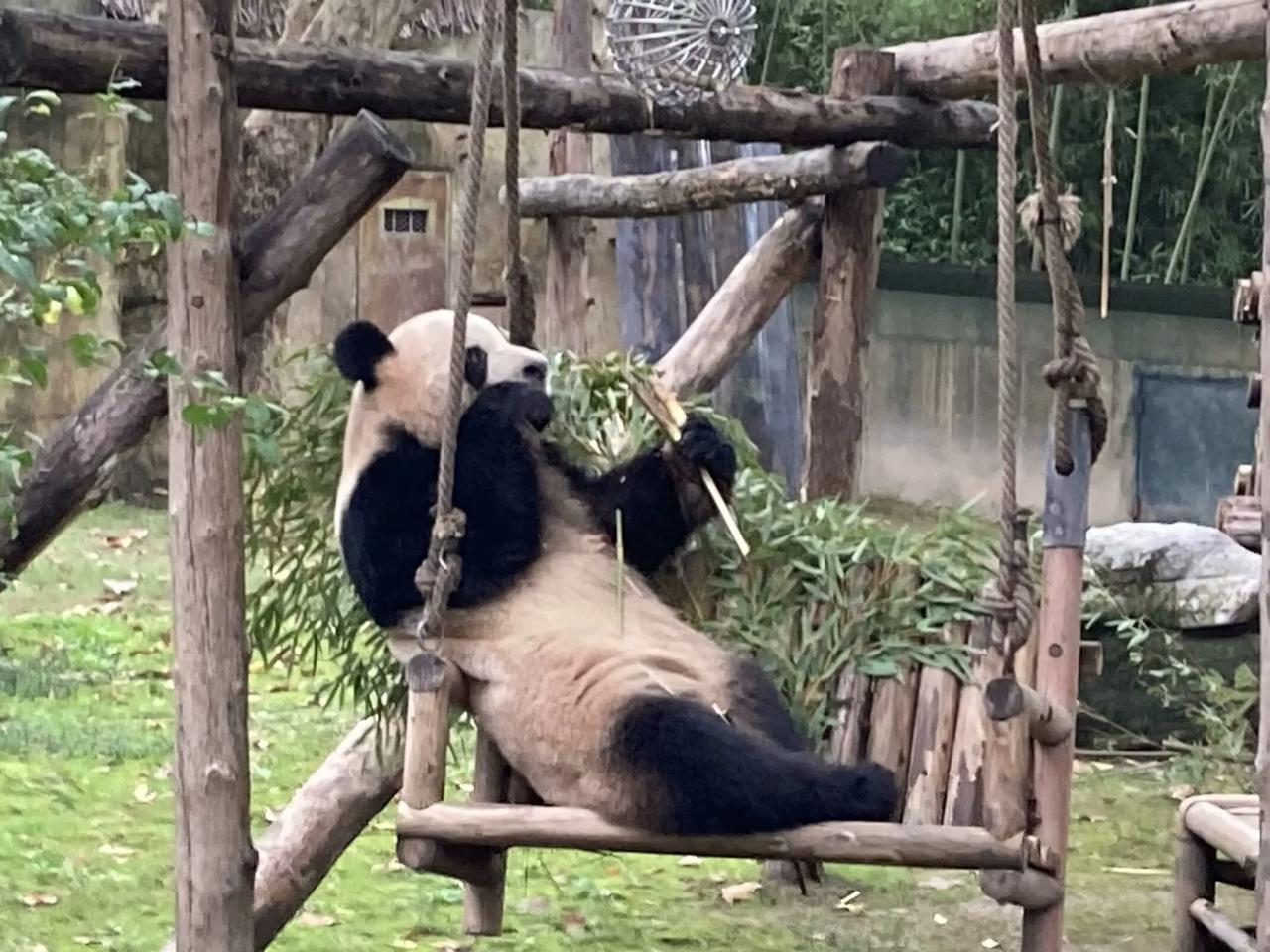 拍一张我的城市美景