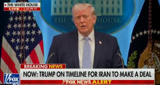 【唐纳德·特朗普：“北约是纸老虎。弗拉基米尔·普京不怕北约。普京怕的是我们——非