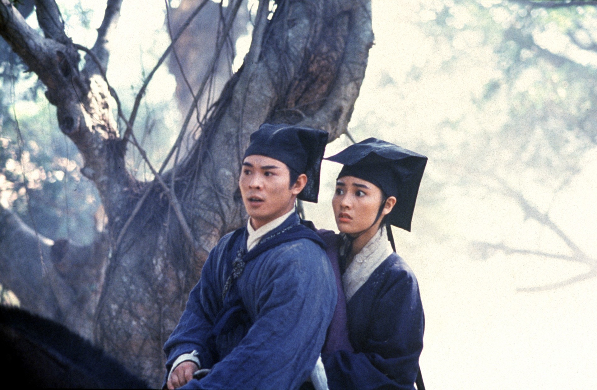 《笑傲江湖2：东方不败》（1992）、《堕落天使》（1995）与《海上花》（19