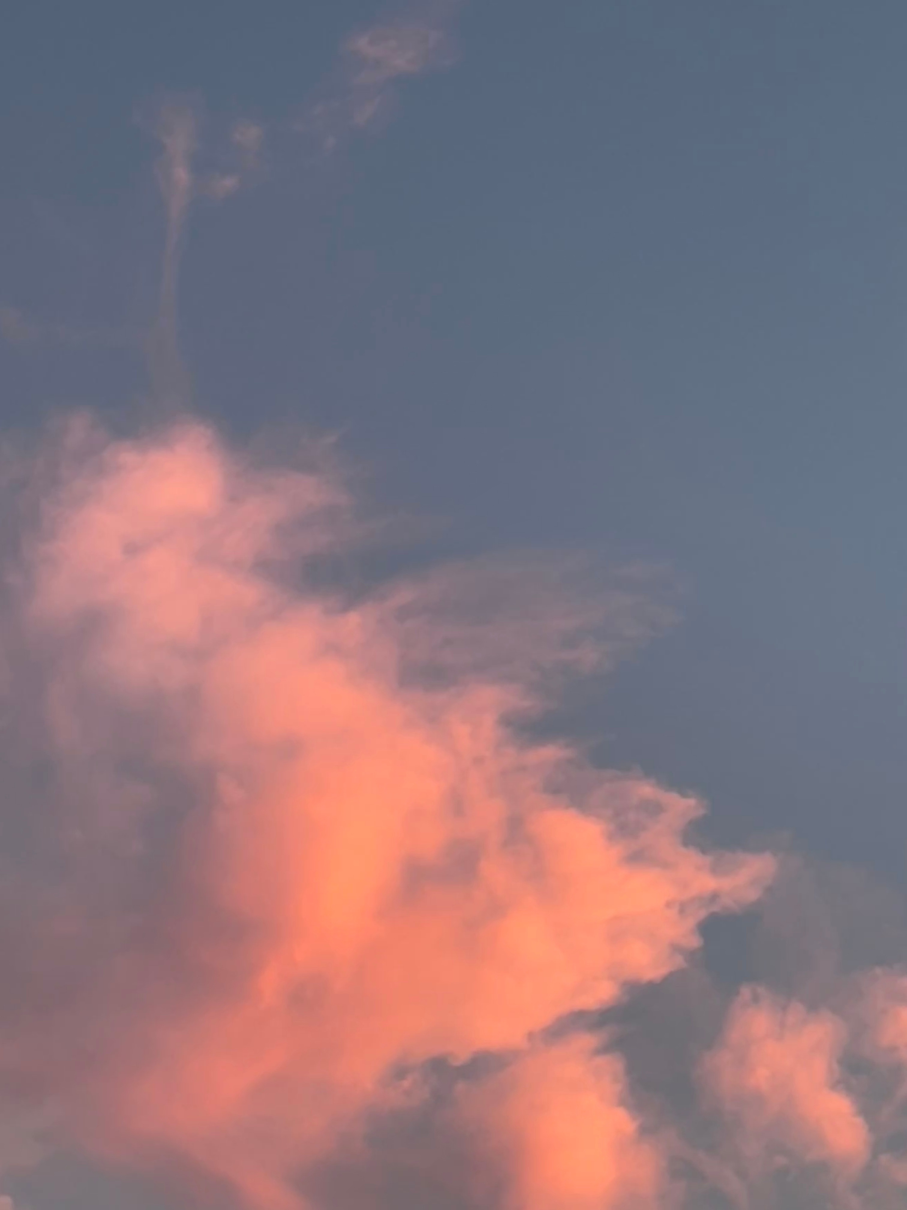 🌇如果你也刚好抬头看 