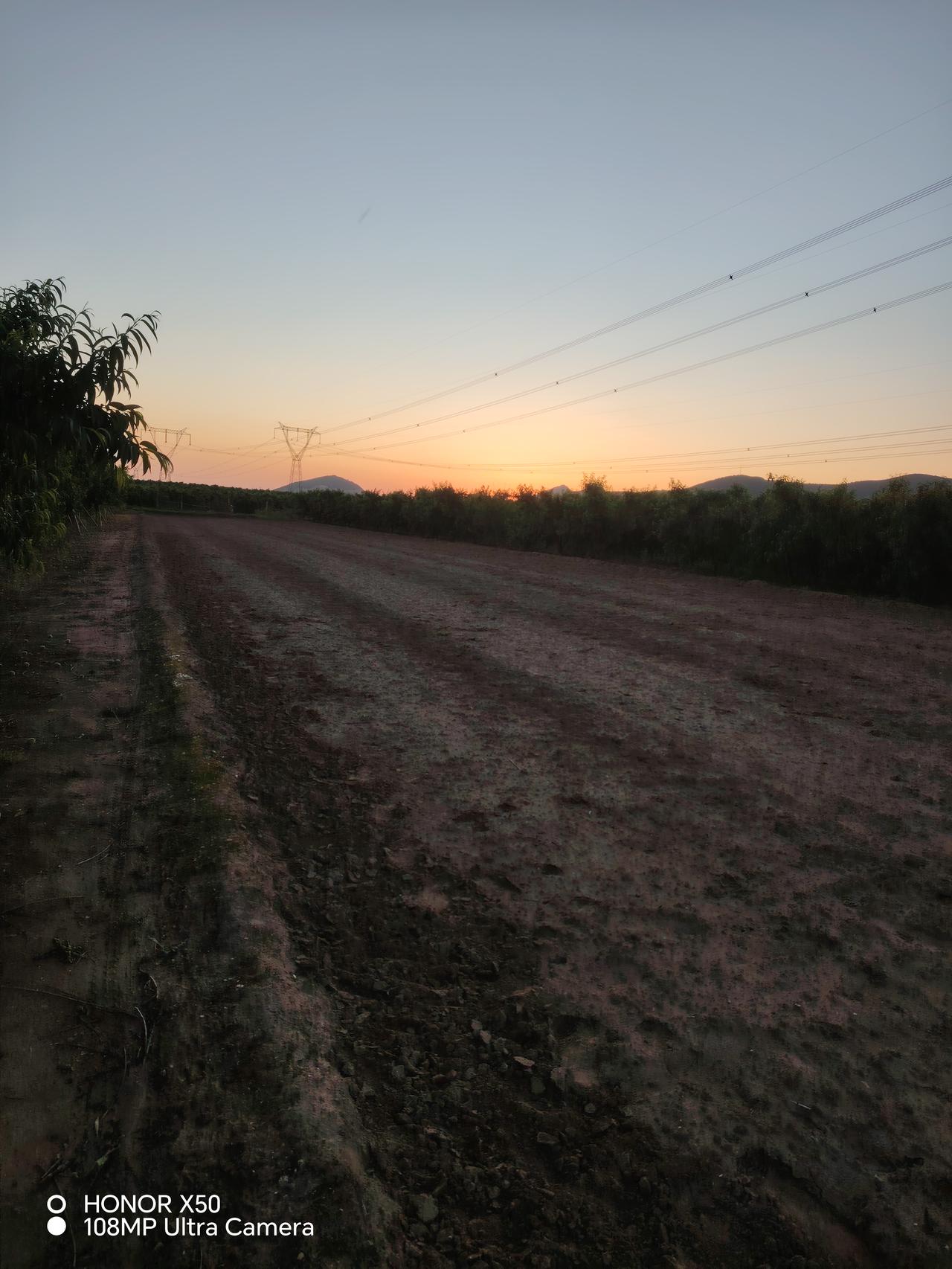 夕阳下的田野，静谧而美丽。