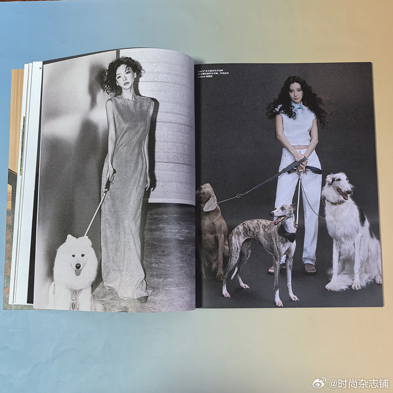 计入销量 优家画报 7月 Angelababy 杨颖封面珍藏版套装：杂志+12张