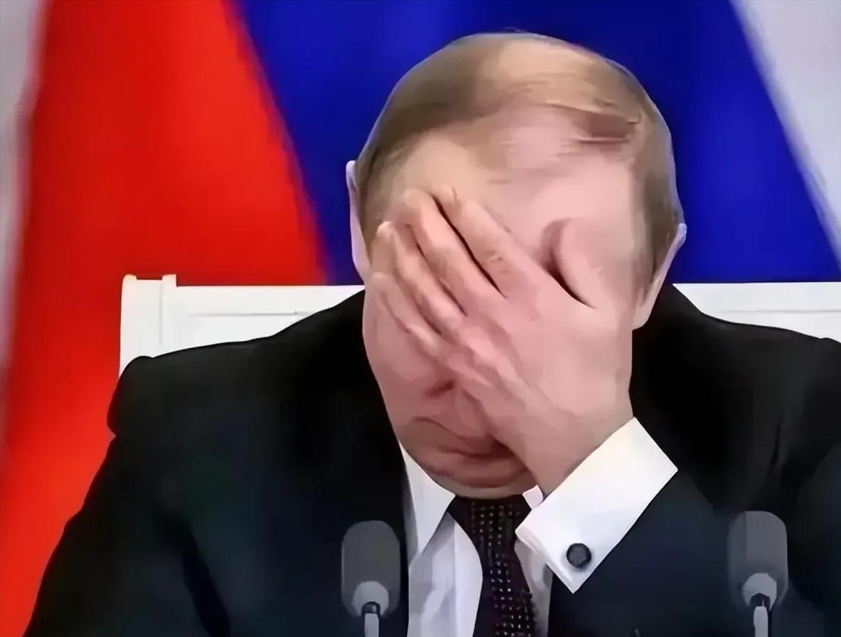 普京这头“北极熊”，终于也开始喊疼了。

就在4月15日，这位一向硬气的铁腕总统