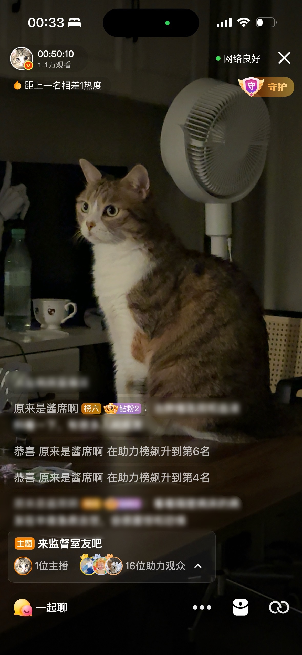 优雅美丽 