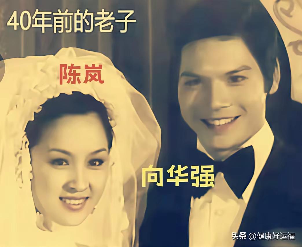 向华强和陈岚的婚纱照，向佐和郭碧婷的照片，你觉得这两对夫妻是不是就是风格有点不同