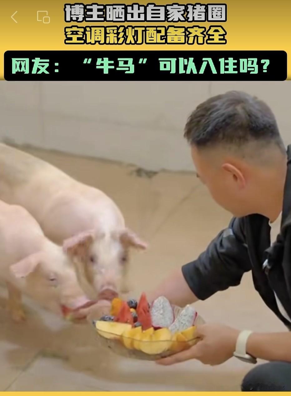 江西，这么干净的养猪场还是头一次见，主人给猪吃的是火龙果，西瓜，还有主食面条，感